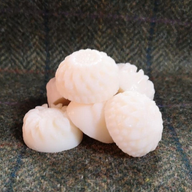 Wax Melts - Deep Sea Minerals