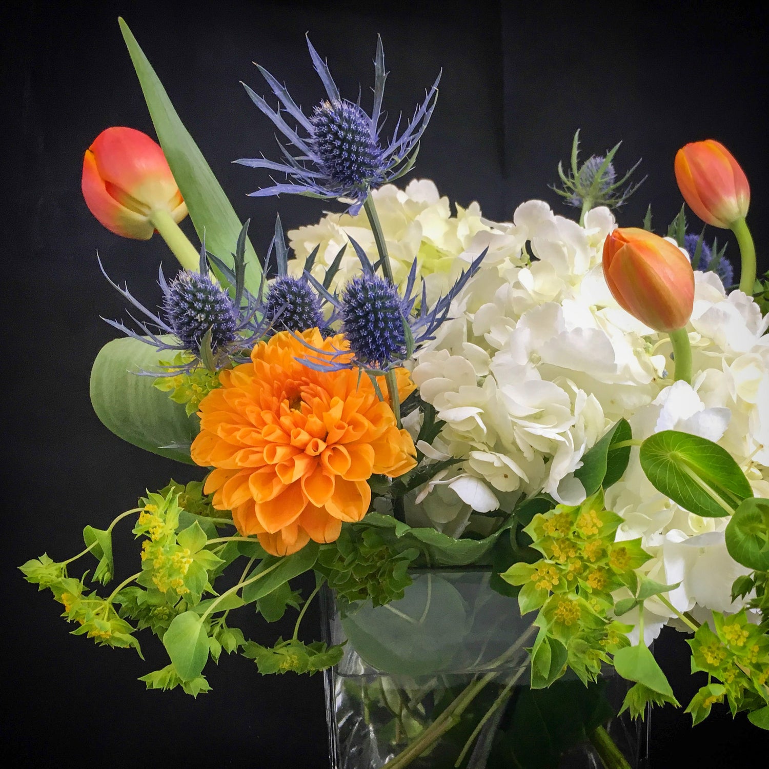 Floral Collection