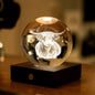 Amber Crystal Light - Highland Cow