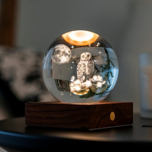 Amber Crystal Light - Owl at Night
