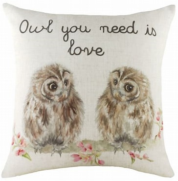 Evan Lichfield - Owl You Need is Love Cushion