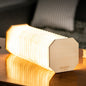 Gingko - Accordion Light