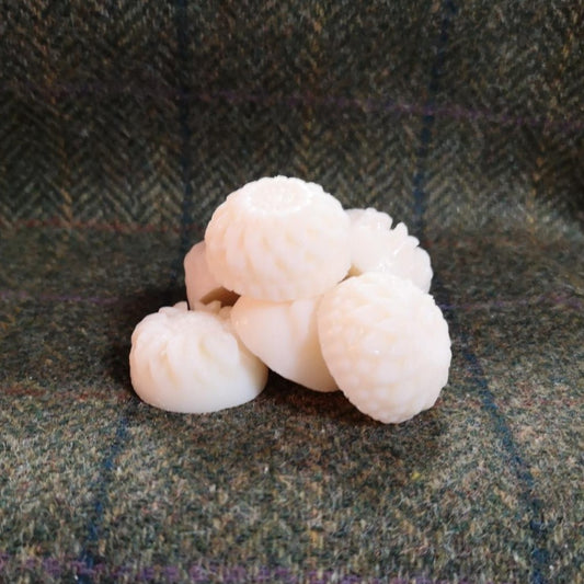 Wax Melts - Sage & Sea Salt