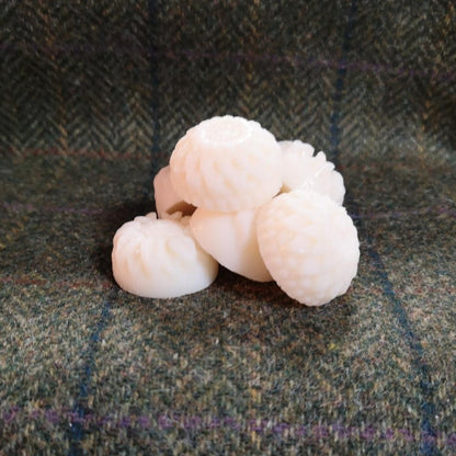 Wax Melts - Soft Amber Musk