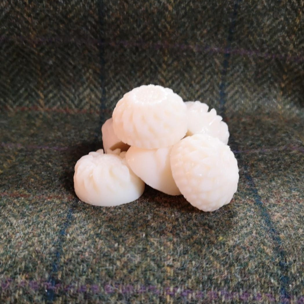 Wax Melts - Pomegranate Noir
