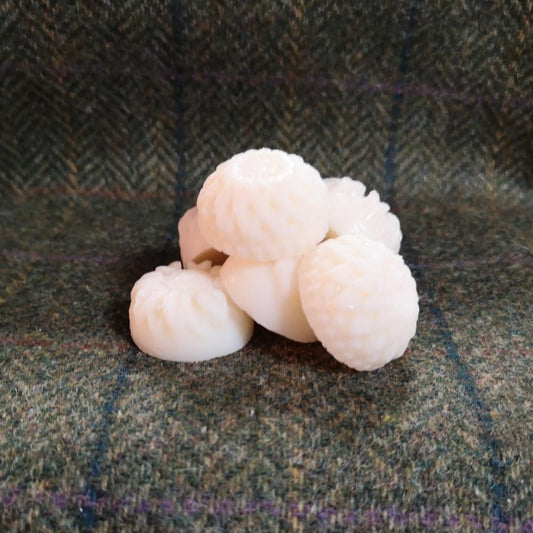 Wax Melts - Pomegranate Noir